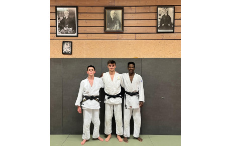 De nouvelles ceintures noires